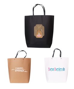 Large Boutique Paper Bag(380 x 380 x 100mm)